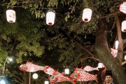 一秒穿越古代！桃園燈會明起熱情登場 體驗漢服、中華傳統文化DIY