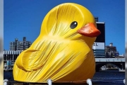 黃色小鴨慘變「老了鴨」強風一吹…變形畫面曝光