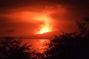 厄瓜多動物海島天堂火山爆發！恐威脅當地獨特野生動物