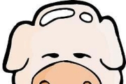 【食驗室影片】Twitter爆紅料理「炸紙鶴」實拍片..用餛飩皮摺紙簡直是悲劇!!